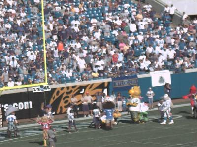 Jaguars_2