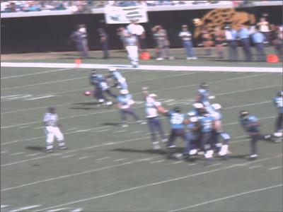 Jaguars_34