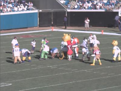 Jaguars_42