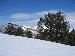 Skiing